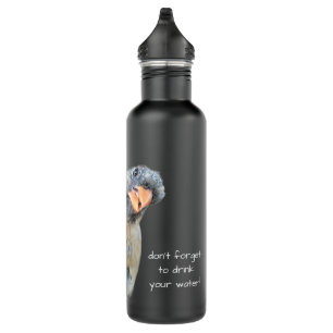 Funny Cardinal, Reminder to drink water! Stainless Steel Water Bottle