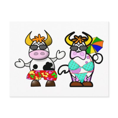 funny_cartoon_beach_cow_couple_post_card_postcard-p239081732354108143z8iat_400.jpg