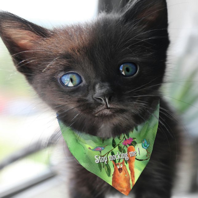 Funny Cartoon Cat & Birds Cat Bandana Pet Bandana Collar (Funny Cartoon Cat & Birds Cat Bandana Pet Bandana Collar)