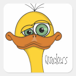 Funny Cartoon Duck Square Sticker