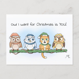 Funny Cartoon Owl I want for Christmas  Holiday Postcard