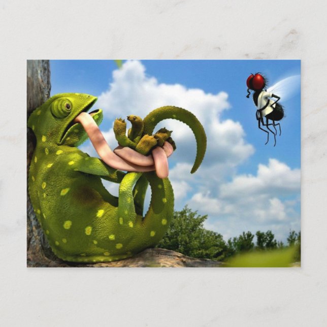 Funny cartoon postcard (Front)