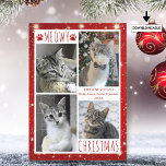Funny Cat 4 Photo Collage MEOWY CHRISTMAS Red Holiday Card<br><div class="desc">Funny cat photo holiday greeting card featuring 4 pictures with the greeting MEOWY CHRISTMAS (or your custom greeting) in modern hand-lettered typography accented with cat paw prints against a white and red background with lights and stars. ASSISTANCE: For help with design modification or personalization, color change, resizing, transferring the design...</div>