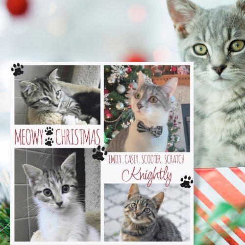 Funny Cat 4 Photo Paw Prints MEOWY CHRISTMAS Card