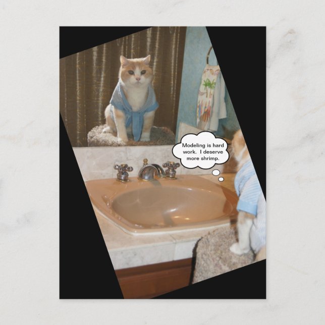 Funny Cat Affirmation About a Raise Postcard (Front)