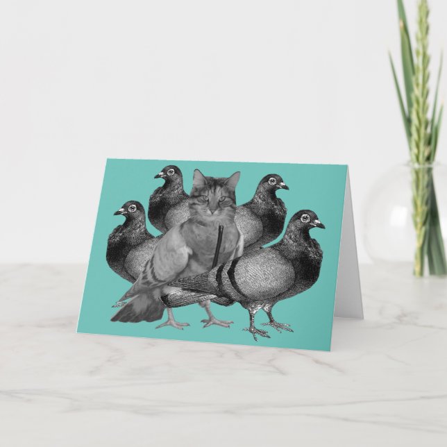 funny cat amongst the pigeons holiday card (Front)