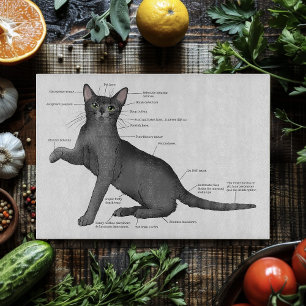 Funny Cat Anatomy Diagram Humor Nerdy Cutting Board