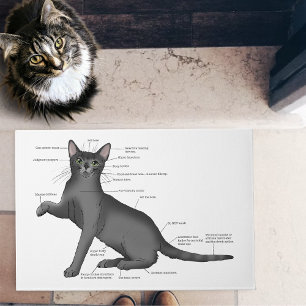 Funny Cat Anatomy Diagram Humor Nerdy Doormat