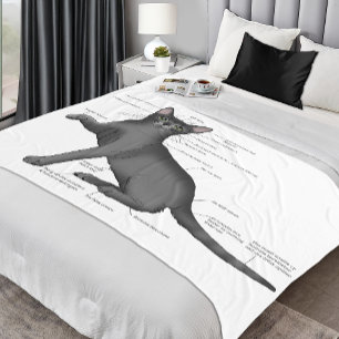 Funny Cat Anatomy Diagram Humor Nerdy Fleece Blanket
