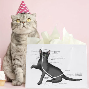 Funny Cat Anatomy Diagram Humor Nerdy Large Gift Bag