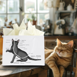 Funny Cat Anatomy Diagram Humor Nerdy Large Gift Bag