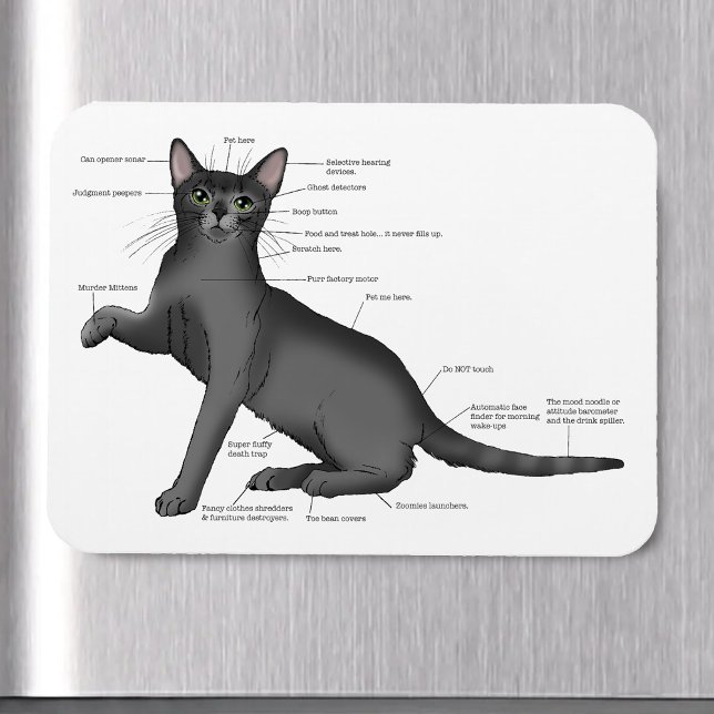 Funny Cat Anatomy Diagram Humor Nerdy Magnet (Creator Uploaded)