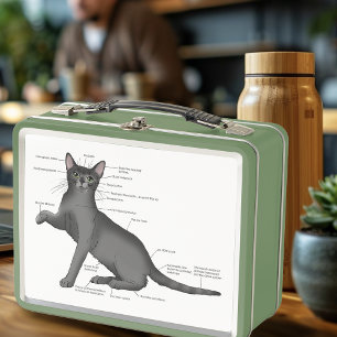Funny Cat Anatomy Diagram Humor Nerdy Metal Lunch Box