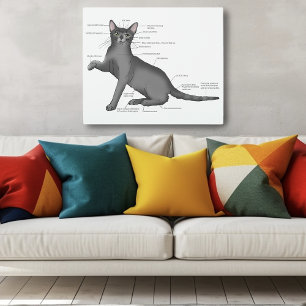 Funny Cat Anatomy Diagram Humor Nerdy Metal Print