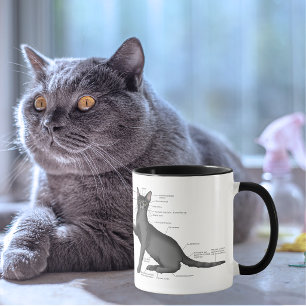 Funny Cat Anatomy Diagram Humor Nerdy Mug