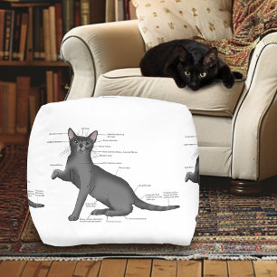 Funny Cat Anatomy Diagram Humor Nerdy Pouf