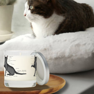 Funny Cat Anatomy Diagram Humor Nerdy Scented Candle