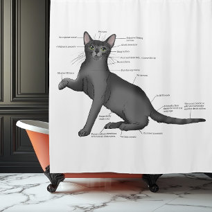 Funny Cat Anatomy Diagram Humor Nerdy Shower Curtain