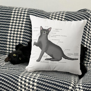 Funny Cat Anatomy Diagram Humor Nerdy Throw Pillow