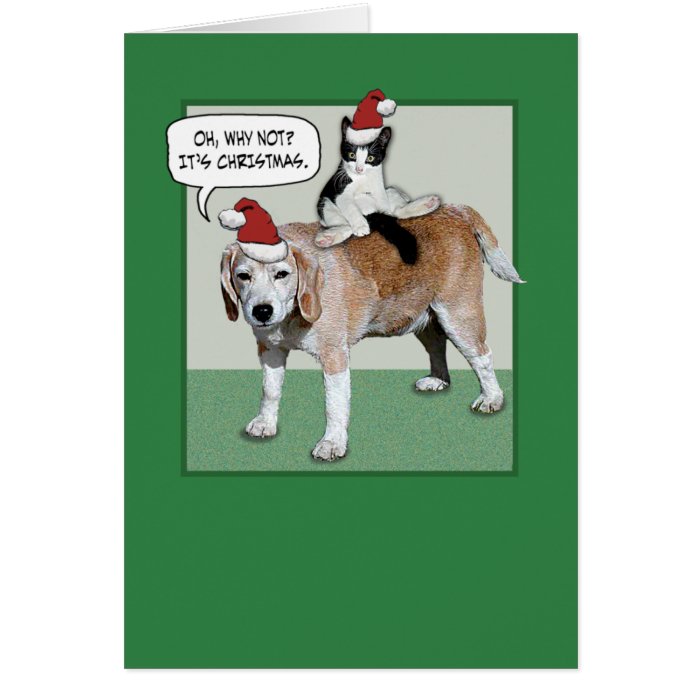 Funny Cat And Dog Christmas Card 