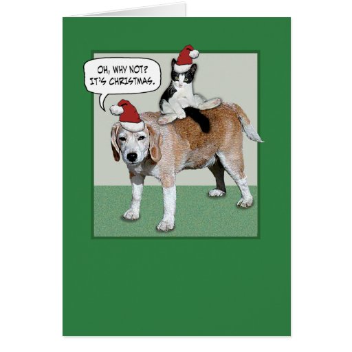 Funny Cat and Dog Christmas Greeting Card