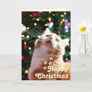 Funny Cat and Green Tree&Happy Christmas Unique C Card