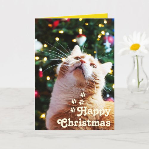 Funny Cat and Green TreeHappy Christmas Unique  C Card