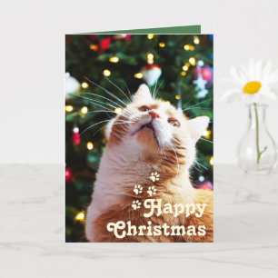 Funny Cat and Green Tree&Happy Christmas Unique   Card