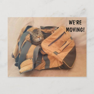 Funny Cat And Suitcase Moving Postcard