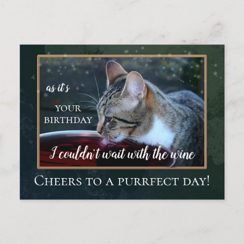 Funny Cat and Wine Birthday Postcard