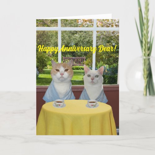 Funny Cat Anniversary Card for Spouse