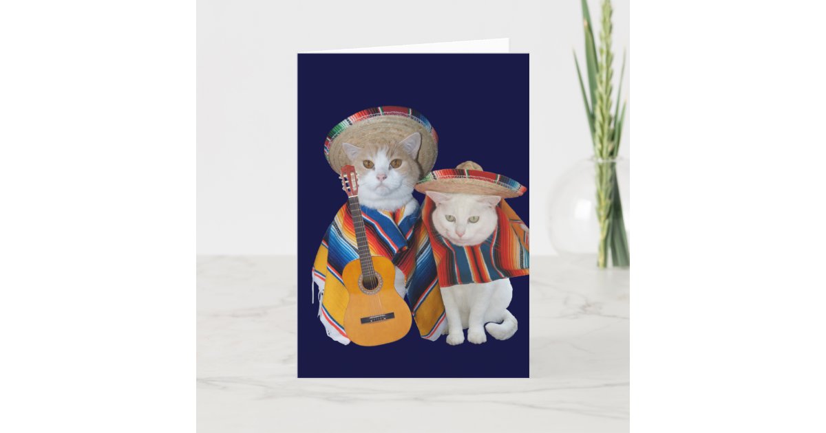 Funny Cat Anniversary For Husband In Spanish Card Zazzle Com