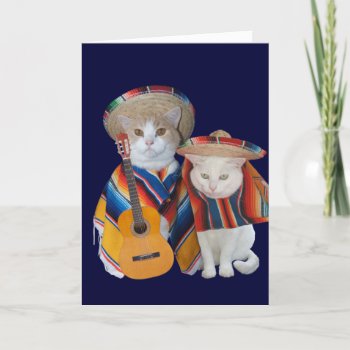 Funny Cat Anniversary For Husband In Spanish Card by myrtieshuman at Zazzle