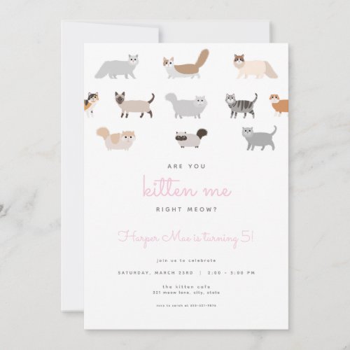 Funny Cat Are You Kitten Me Birthday Invitation