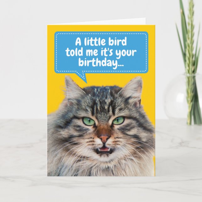 Funny Cat Ate Bird Birthday Greeting Card (Front)