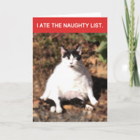 Funny Cat Ate Santa's Naughty List Christmas