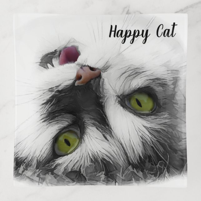 Funny Cat awesome customizable Trinket Tray (Front)