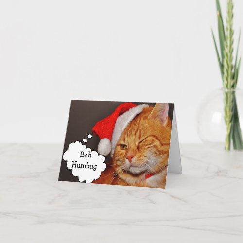 Funny Cat Bah Humbug Holiday Christmas