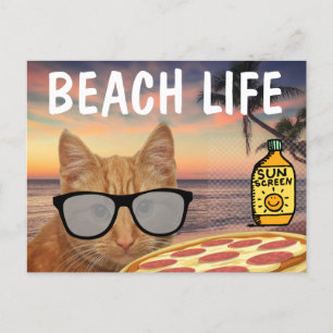 FUNNY CAT BEACH PIZZA POSTCARD