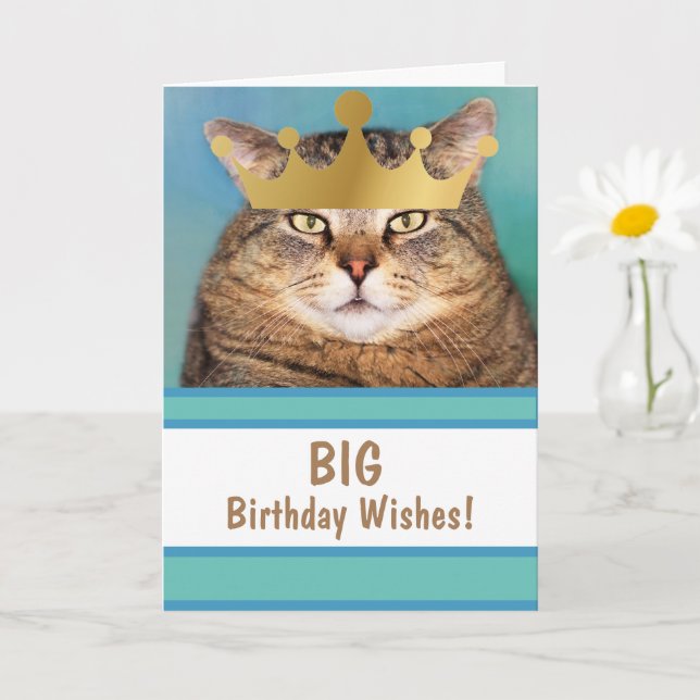 Funny Cat Big Birthday Wishes Card (Small Plant)