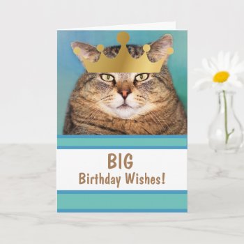 Funny Cat Big Birthday Wishes Card by Therupieshop at Zazzle