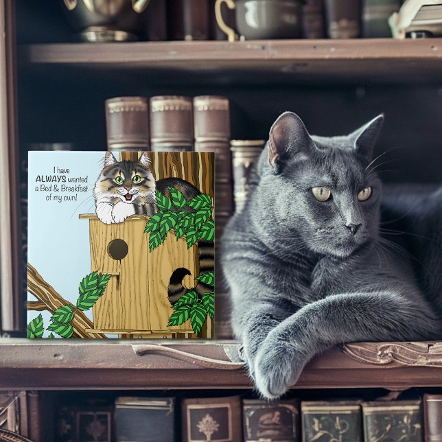Funny Cat Birdhouse Bed & Breakfast Whimsical Ceramic Tile (Creator Uploaded)