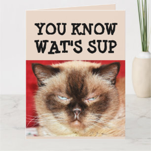 FUNNY CAT BIRTHDAY BIG Greeting Card