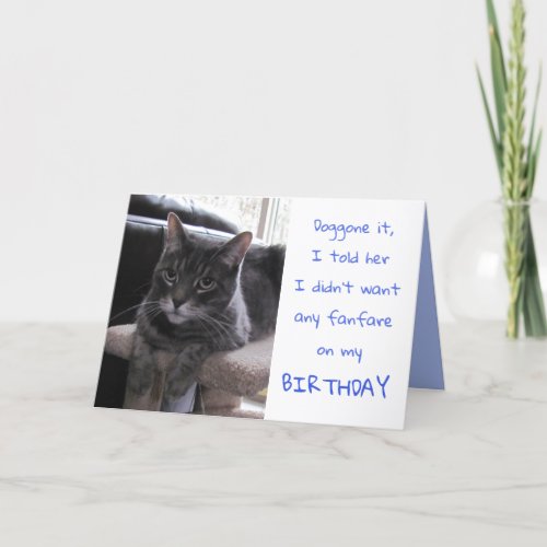 Funny Cat Birthday Card