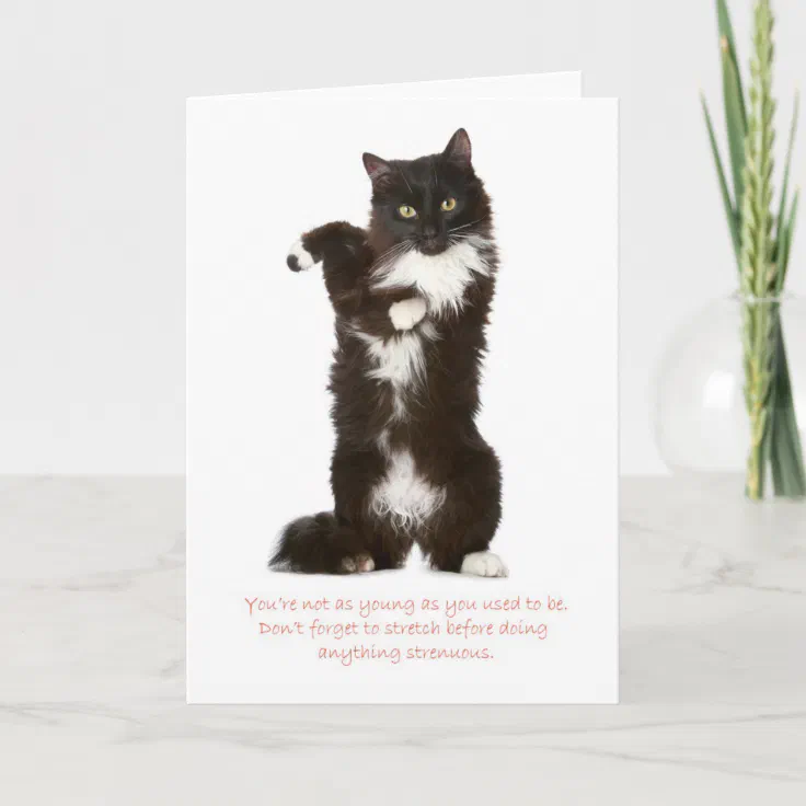 Funny Cat Birthday Card | Zazzle