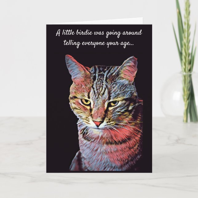 Funny Cat Birthday Card (Front)