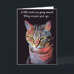 Funny Cat Birthday Card<br><div class="desc">Wish your loved one a Happy Birthday with this card!</div>