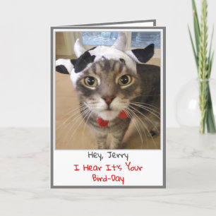 Funny Cat Birthday Card