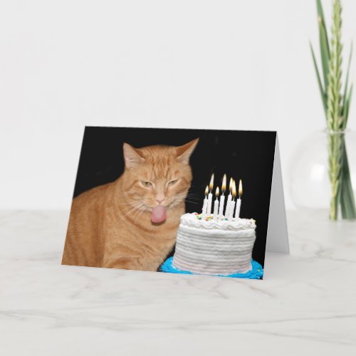 Funny cat birthday card