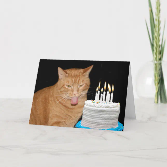 Funny cat birthday card | Zazzle